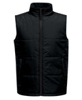 TRA842 Regatta Access Insulated Bodywarmer